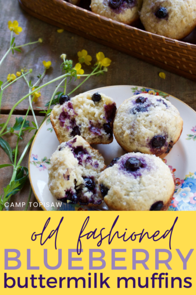 Old Fashioned Blueberry Buttermilk Muffins | Camp Topisaw