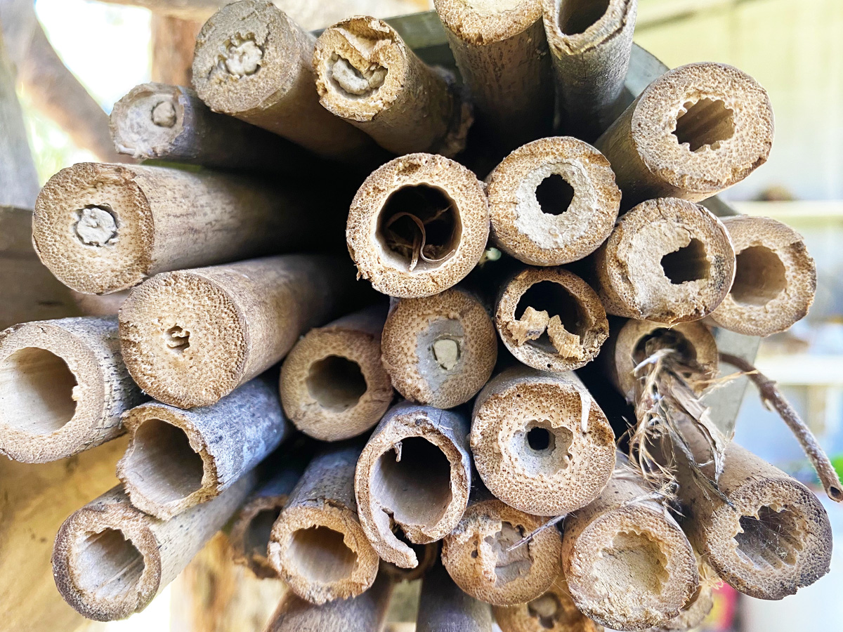 Simple Mason Bee House